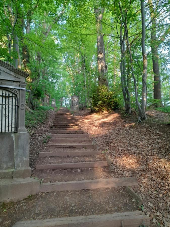 L'Ecureuil - Terrasses De Malmedy 빌라 외부 사진